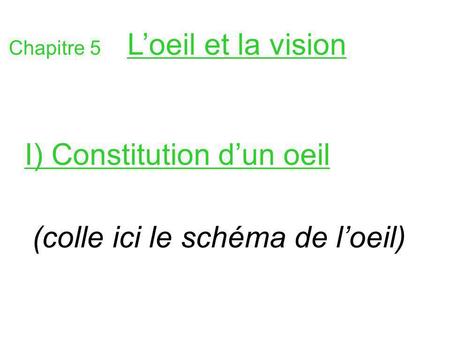 I) Constitution d’un oeil