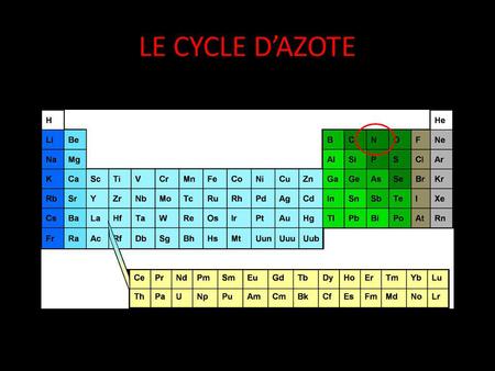 LE CYCLE D’AZOTE.