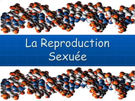 La Reproduction Sexuée