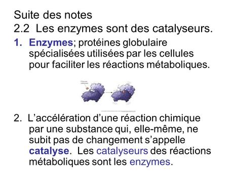 Suite des notes 2.2 Les enzymes sont des catalyseurs.
