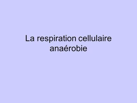 La respiration cellulaire anaérobie
