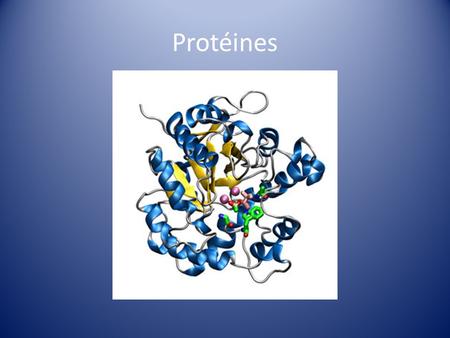 Protéines.