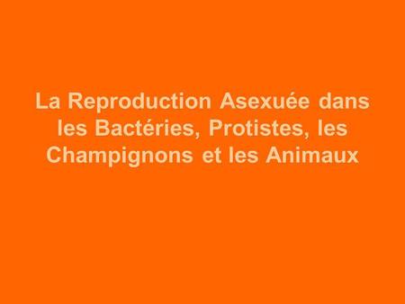 Qu’est-ce que la reproduction asexuée?