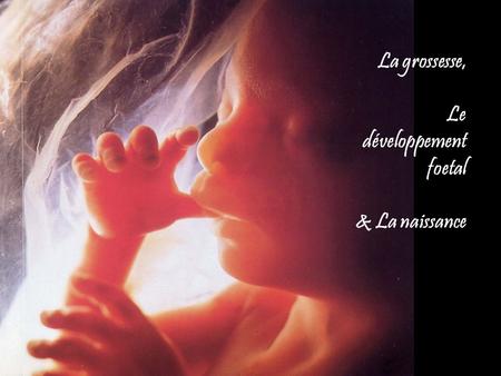 La grossesse, Le développement foetal & La naissance.
