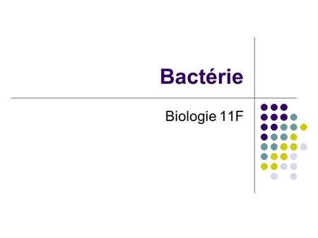 Bactérie Biologie 11F.