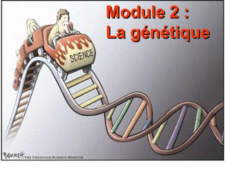 Module 2 : La génétique.