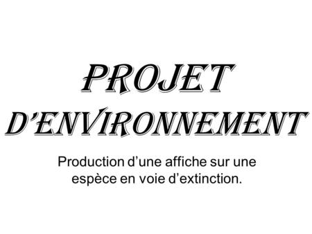 Projet d’Environnement