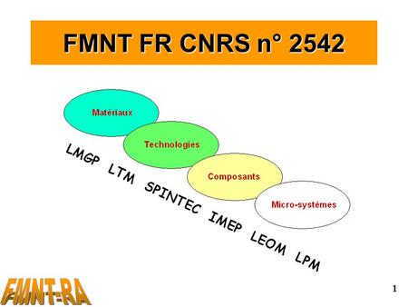1 FMNT FR CNRS n° 2542. 2 Projets scientifiques/FMNT 5 Thèmes scientifiques fédérateurs : Microélectronique et Nanoélectronique (Coordinateur : G. Ghibaudo,