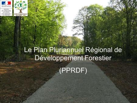 Le Plan Pluriannuel Régional de Développement Forestier