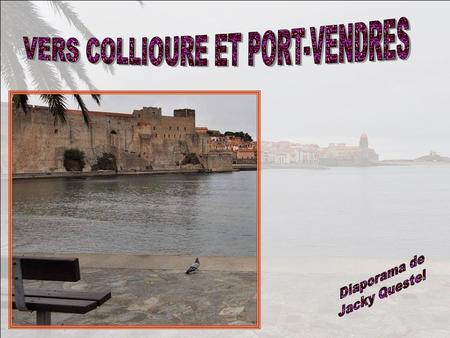 2 janvier 2012, et un hiver exceptionnellement clément jusque là. Nous sommes pour quelques jours à Argelès- sur-Mer, et décidons daller faire un.