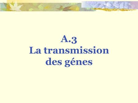 La transmission des génes