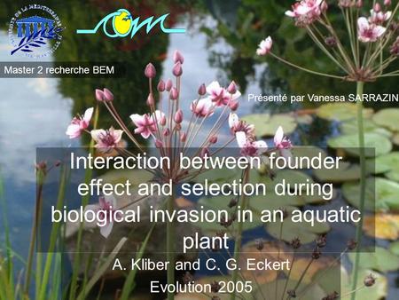 Interaction between founder effect and selection during biological invasion in an aquatic plant A. Kliber and C. G. Eckert Evolution 2005 Présenté par.