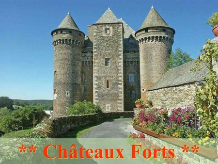 ** Châteaux Forts ** Aigues-Mortes (30) Angers (49)