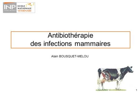 Antibiothérapie des infections mammaires