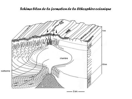 Schéma bilan de la formation de la lithosphère océanique