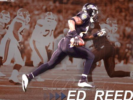 Ed Reed Safety, Baltimore Ravens. Ed Reed a révolutionné la position de maraudeur ( Safety ) dans la NFL ( Ligue Nationale de Football ).Ed Reed a révolutionné.