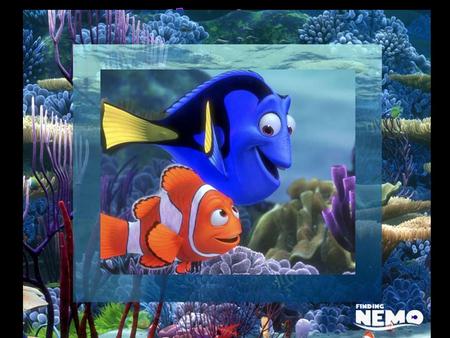 Trouver Nemo.