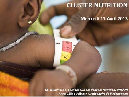 CLUSTER NUTRITION Mercredi 17 Avril 2013 M. Bakary Koné, Gestionnaire des données Nutrition, DNS/DN Anne-Céline Delinger, Gestionnaire de lInformation.