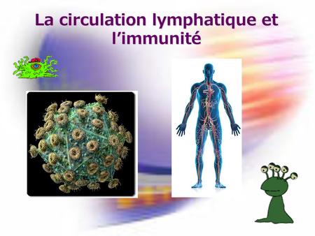 La circulation lymphatique et l’immunité