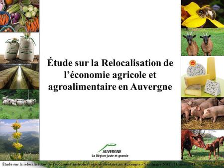 Le contexte L’agriculture est un secteur économique majeur en Auvergne : 6,5 % de l’emploi régional en 2005 (3,4 % au niveau national) 3,4 % de la valeur.