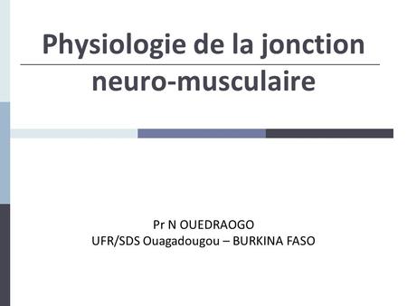 Physiologie de la jonction neuro-musculaire Pr N OUEDRAOGO UFR/SDS Ouagadougou – BURKINA FASO.