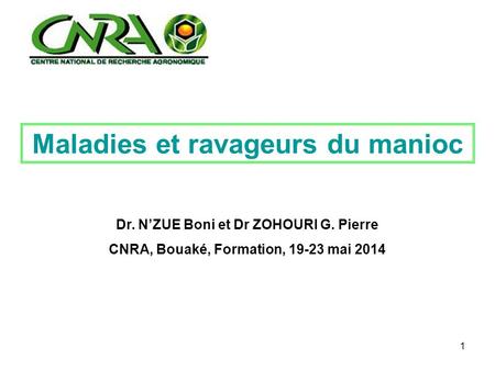 1 Maladies et ravageurs du manioc Dr. N’ZUE Boni et Dr ZOHOURI G. Pierre CNRA, Bouaké, Formation, mai 2014.