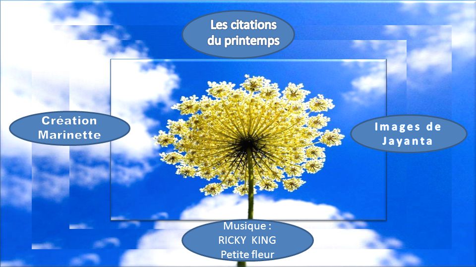 Les Citations Du Printemps Creation Marinette Images De Jayanta Ppt Video Online Telecharger