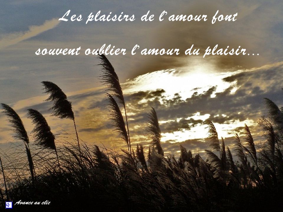 Les Plaisirs De L Amour Font Souvent Oublier L Amour Du Plaisir Ppt Telecharger