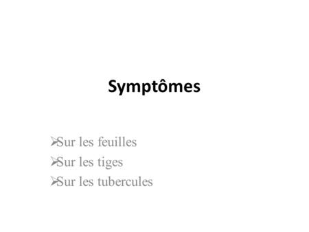 Symptômes  Sur les feuilles  Sur les tiges  Sur les tubercules.