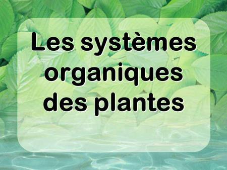 Les systèmes organiques des plantes