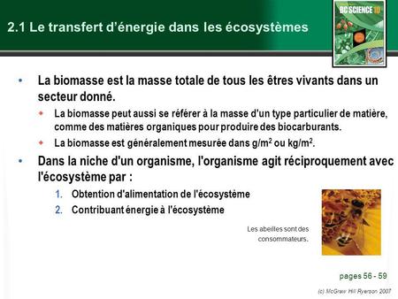 2.1 Le transfert d’énergie dans les écosystèmes