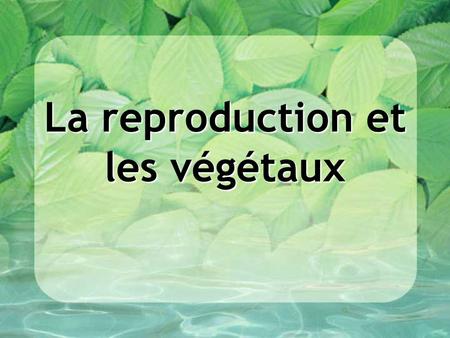 La reproduction et les végétaux