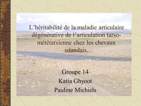 Groupe 14 Katia Ghyoot Pauline Michiels