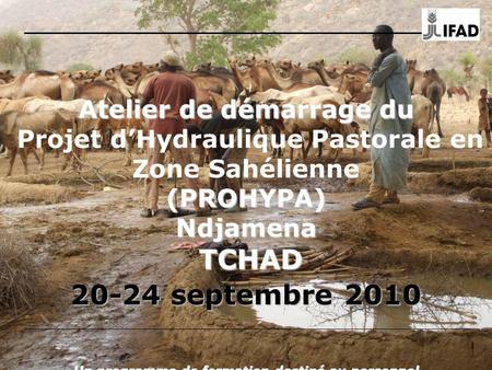 Atelier de démarrage du Projet d’Hydraulique Pastorale en Zone Sahélienne (PROHYPA) Ndjamena TCHAD 20-24 septembre 2010 Un programme de formation.