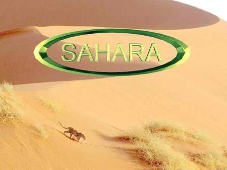 Si je vous demande :  « Le Sahara, qu’est-ce que cela évoque, pour vous ? » Je pense que vous me répondrez : « Du sable, et puis du sable. Ah ! Oui ! Et.
