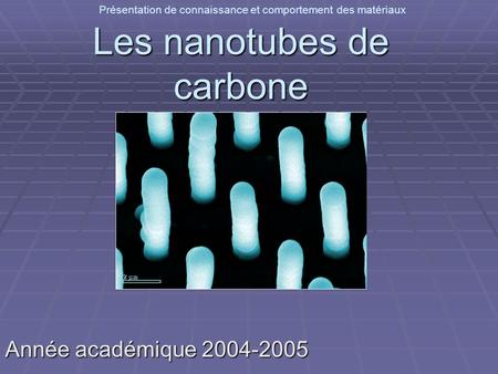Présentation de connaissance et comportement des matériaux Les nanotubes de carbone Année académique 2004-2005.
