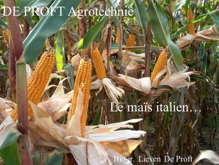 Bio-ir. Lieven De Proft Le maïs italien… DE PROFT Agrotechnie.