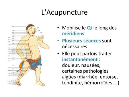 L'Acupuncture Mobilise le Qi le long des méridiens