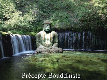 Précepte Bouddhiste.