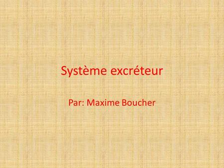 Système excréteur Par: Maxime Boucher.