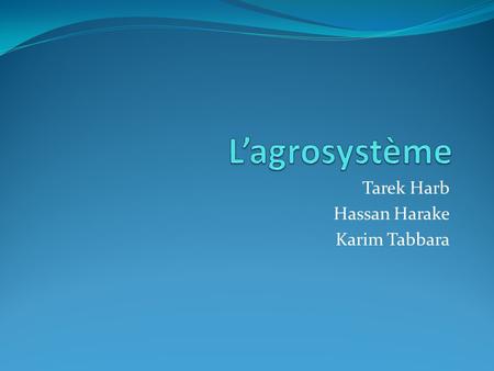 Tarek Harb Hassan Harake Karim Tabbara