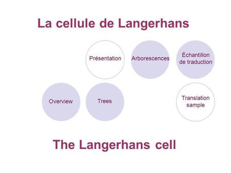 La cellule de Langerhans