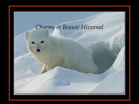 Charme et Beauté Hivernal Et quand viendra lhiver aux neiges monotones, je fermerai partout portières et volets. (Ch.Baudelaire)