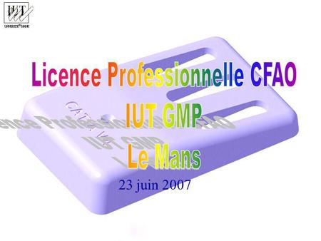 Licence Professionnelle CFAO