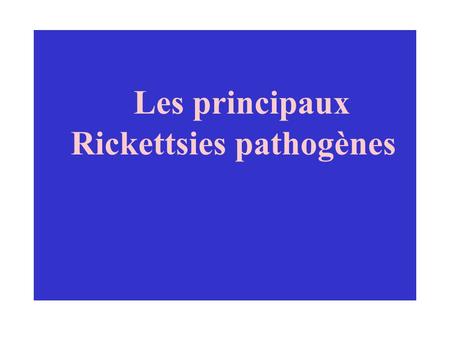 Les principaux Rickettsies pathogènes