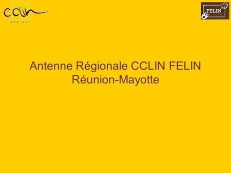 Antenne Régionale CCLIN FELIN Réunion-Mayotte