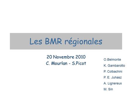 Les BMR régionales 20 Novembre 2010 C. Mourlan - S.Picot O.Belmonte K. Gambarotto P. Colbachini P. E. Juhasz A. Lignereux M. Sin.