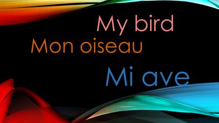 My bird Mon oiseau Mi ave.
