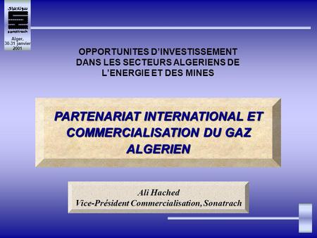 Alger, 30-31 janvier 2001 OPPORTUNITES DINVESTISSEMENT DANS LES SECTEURS ALGERIENS DE LENERGIE ET DES MINES PARTENARIAT INTERNATIONAL ET COMMERCIALISATION.