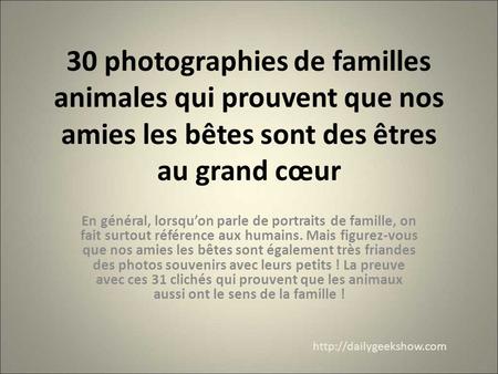 30 photographies de familles animales qui prouvent que nos amies les bêtes sont des êtres au grand cœur En général, lorsqu’on parle de portraits de famille,